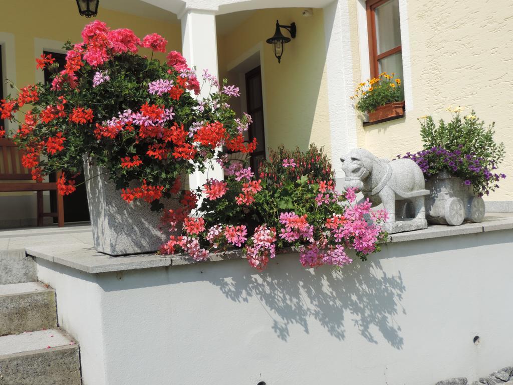 Ferienwohnung Waldoase Am Fuchsenstein Spiegelau Pokoj fotografie